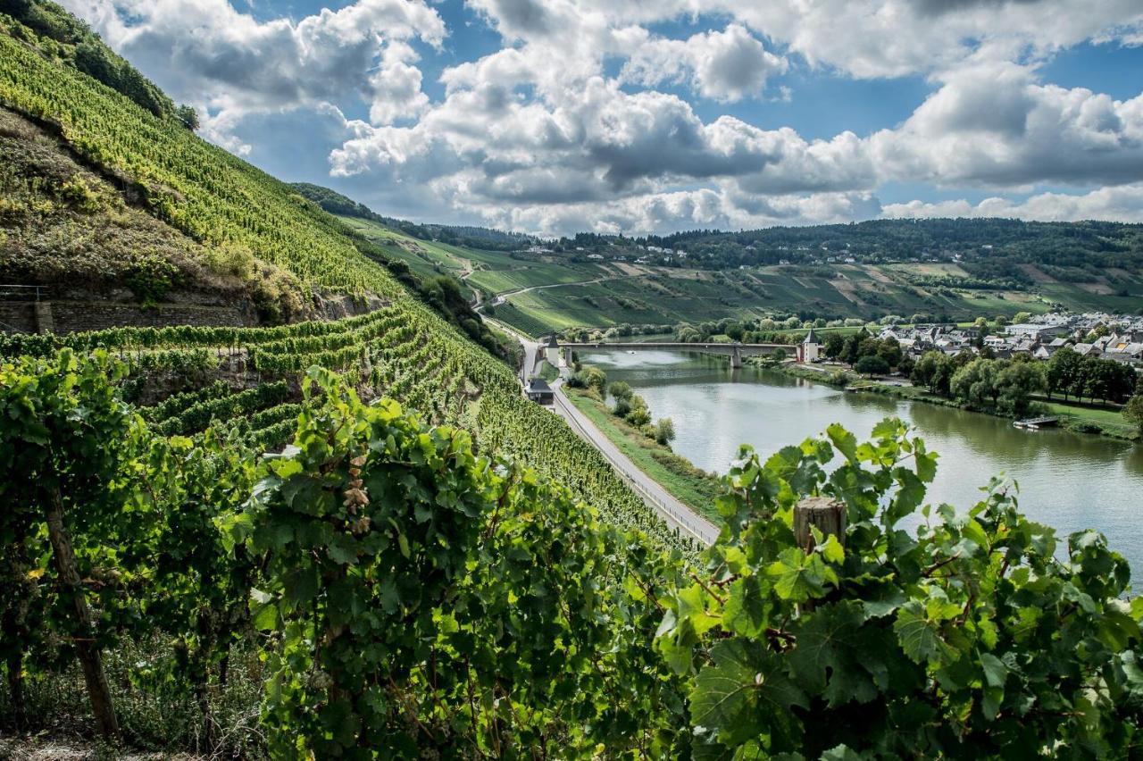 Gastehaus-Weingut Loersch Hotel ไลเวน ภายนอก รูปภาพ